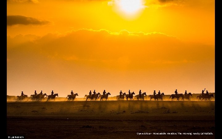 Open colour - Honourable mention: The morning run by Lal Nallath. 