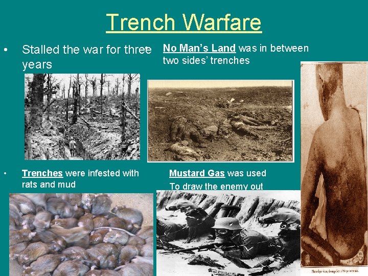 Trench Warfare • • No Man’s Land was in between Stalled the war for