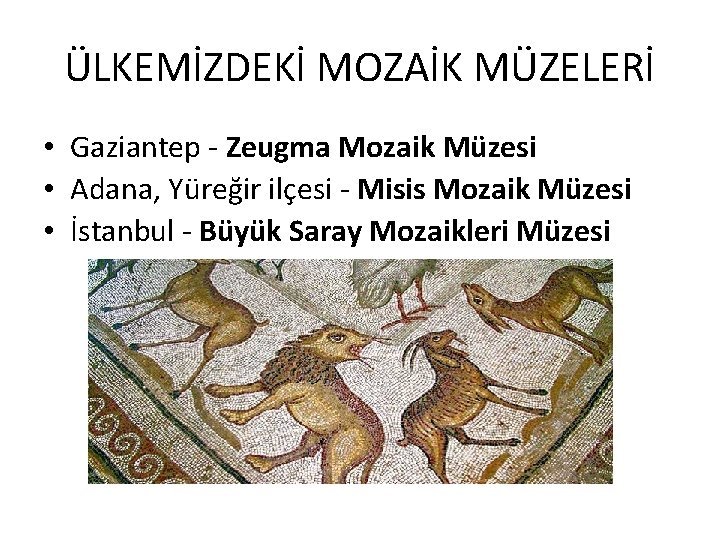 ÜLKEMİZDEKİ MOZAİK MÜZELERİ • Gaziantep - Zeugma Mozaik Müzesi • Adana, Yüreğir ilçesi -