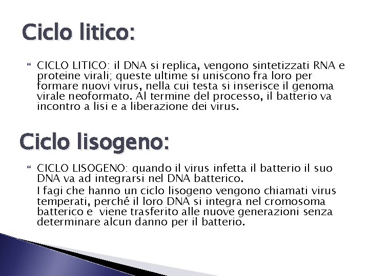 Ciclo litico: CICLO LITICO: il DNA si replica, vengono sintetizzati RNA e proteine virali;