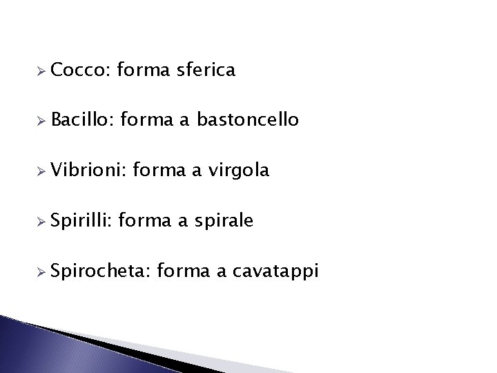 Ø Cocco: forma sferica Ø Bacillo: forma a bastoncello Ø Vibrioni: Ø Spirilli: forma