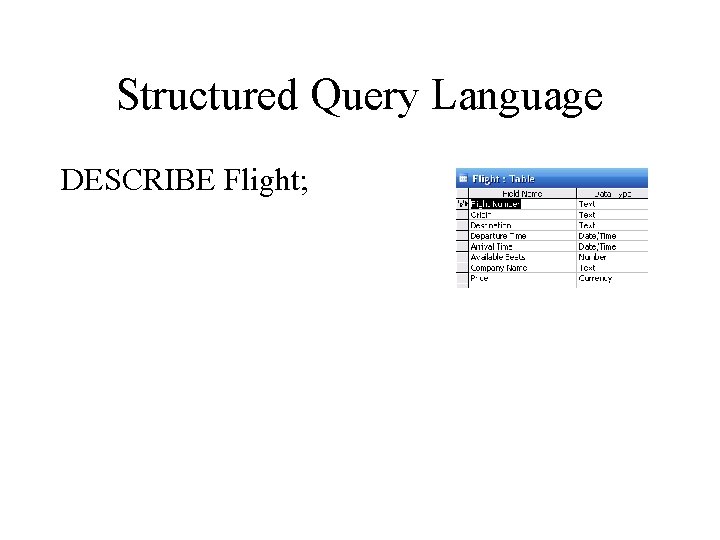 Structured Query Language DESCRIBE Flight; 