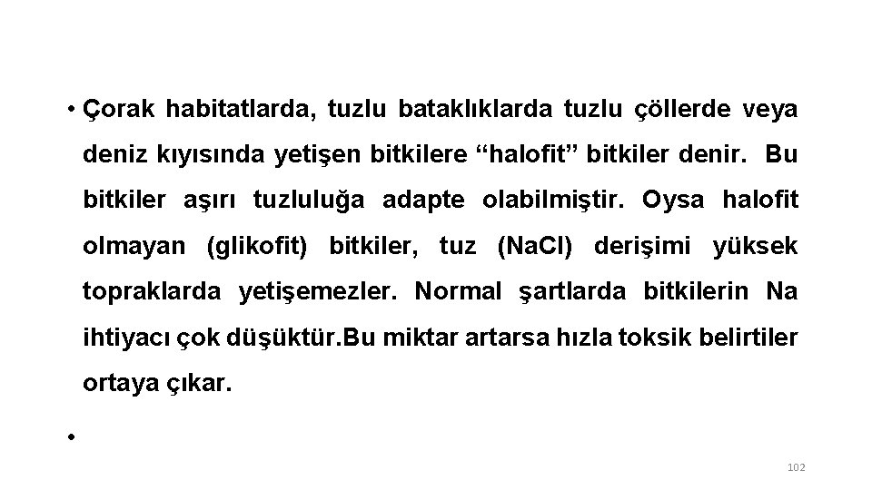  • Çorak habitatlarda, tuzlu bataklıklarda tuzlu çöllerde veya deniz kıyısında yetişen bitkilere “halofit”