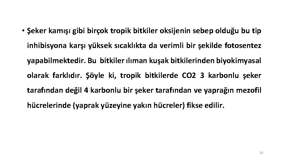  • Şeker kamışı gibi birçok tropik bitkiler oksijenin sebep olduğu bu tip inhibisyona