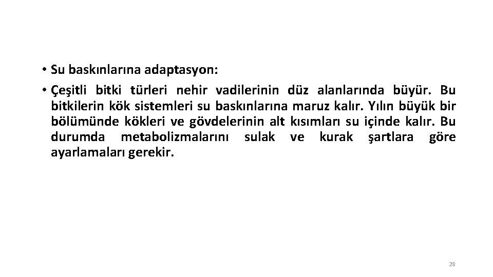  • Su baskınlarına adaptasyon: • Çeşitli bitki türleri nehir vadilerinin düz alanlarında büyür.