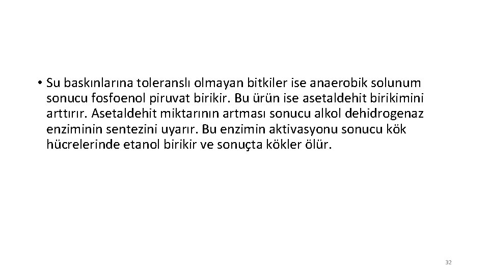  • Su baskınlarına toleranslı olmayan bitkiler ise anaerobik solunum sonucu fosfoenol piruvat birikir.