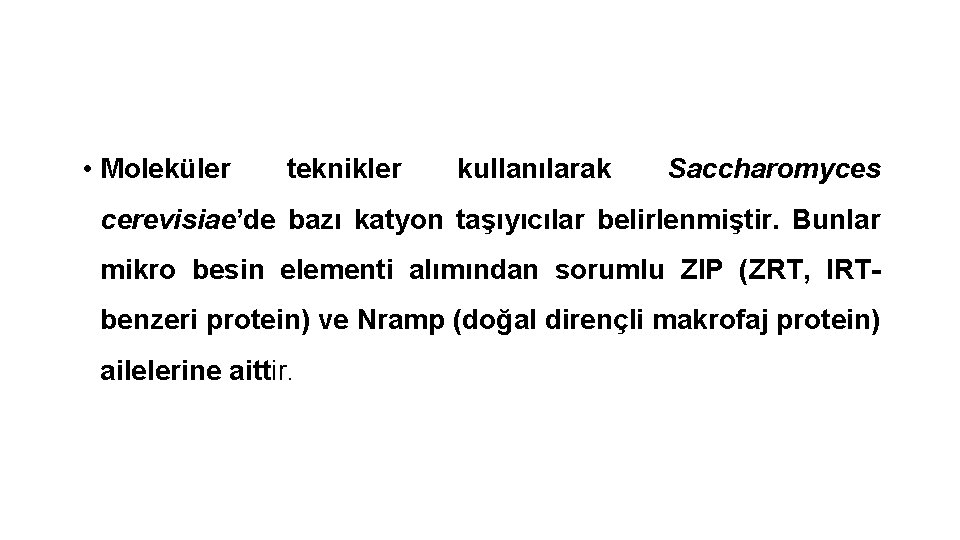  • Moleküler teknikler kullanılarak Saccharomyces cerevisiae’de bazı katyon taşıyıcılar belirlenmiştir. Bunlar mikro besin