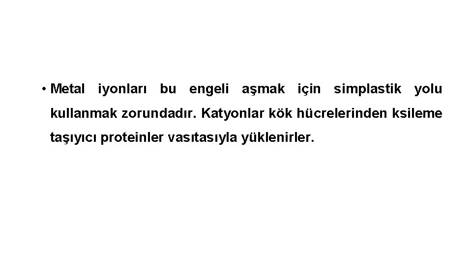  • Metal iyonları bu engeli aşmak için simplastik yolu kullanmak zorundadır. Katyonlar kök