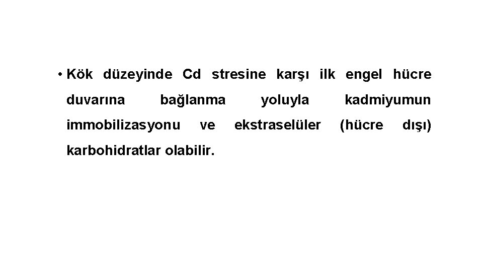  • Kök düzeyinde Cd stresine karşı ilk engel hücre duvarına bağlanma immobilizasyonu ve