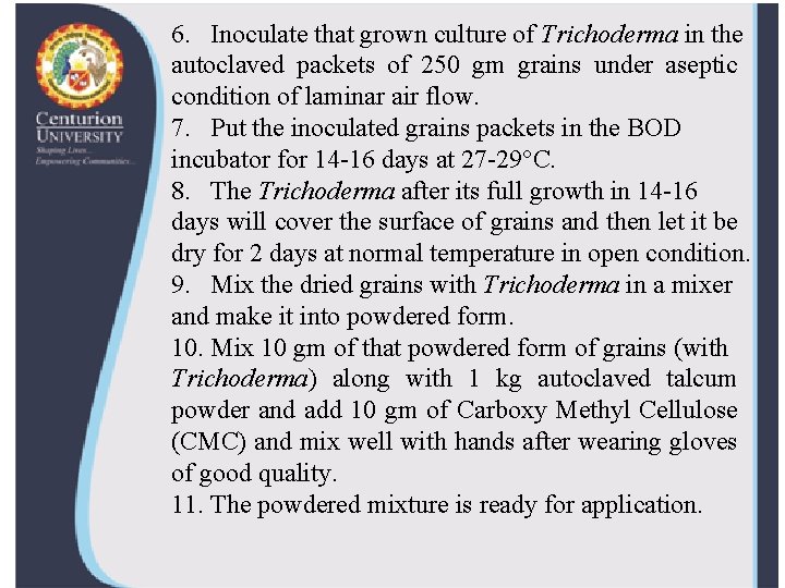 6. Inoculate that grown culture of Trichoderma in the autoclaved packets of 250 gm