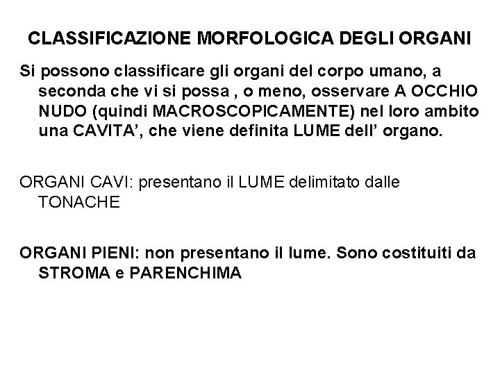 CLASSIFICAZIONE MORFOLOGICA DEGLI ORGANI Si possono classificare gli organi del corpo umano, a seconda