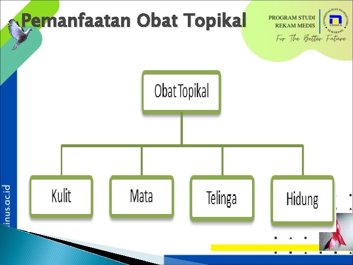 Pemanfaatan Obat Topikal 