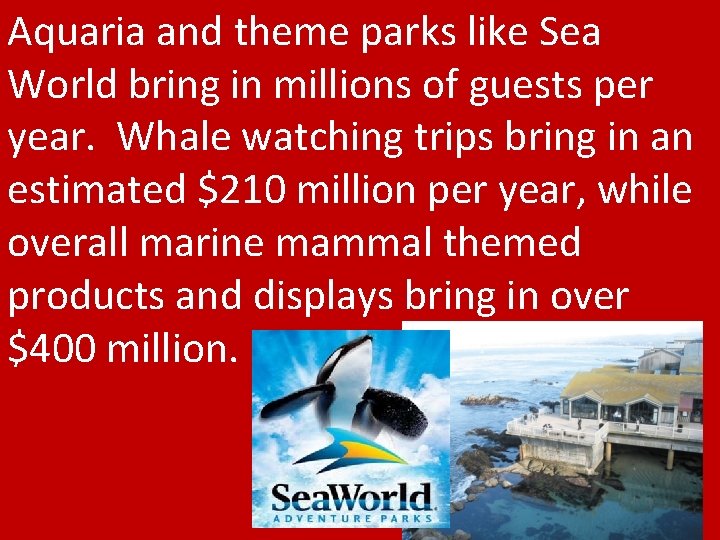 Aquaria and theme parks like Sea World bring in millions of guests per year.