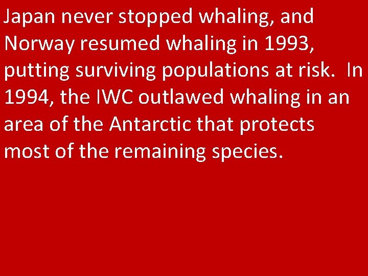 Japan never stopped whaling, and Norway resumed whaling in 1993, putting surviving populations at