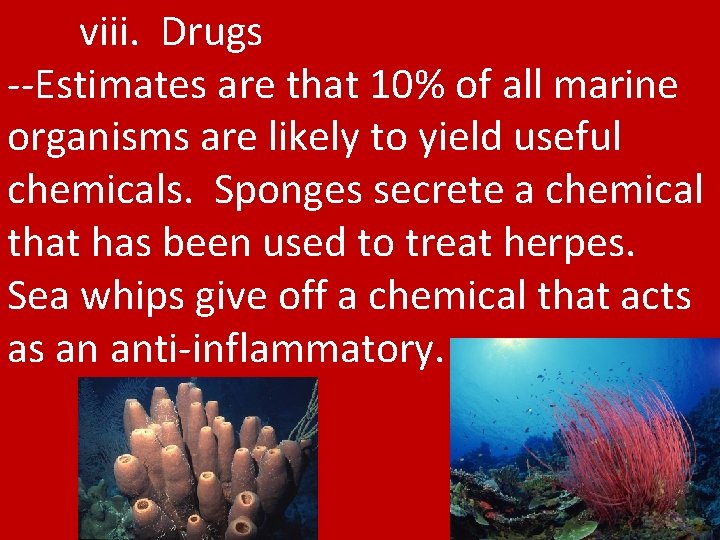 viii. Drugs --Estimates are that 10% of all marine organisms are likely to yield