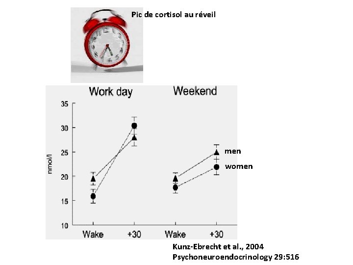 Pic de cortisol au réveil men women Kunz-Ebrecht et al. , 2004 Psychoneuroendocrinology 29: