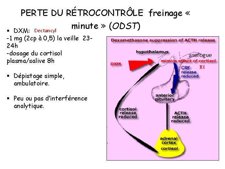 PERTE DU RÉTROCONTRÔLE freinage « minute » (ODST) DXM: Dectancyl § -1 mg (2