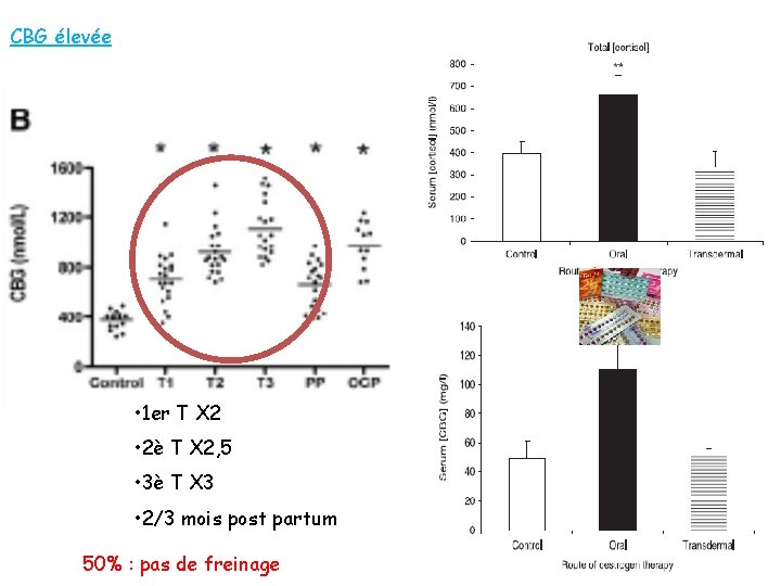 CBG élevée • 1 er T X 2 • 2è T X 2, 5