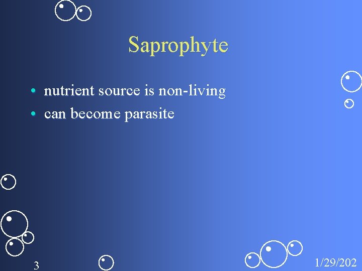 Saprophyte • nutrient source is non-living • can become parasite 3 1/29/202 