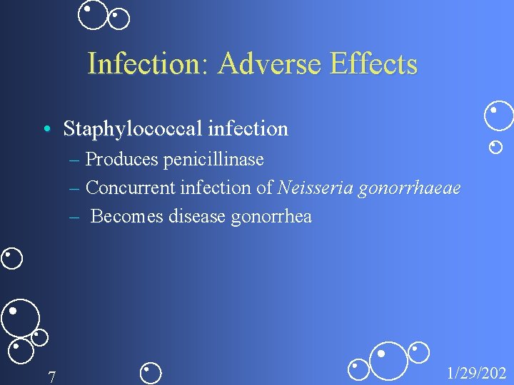 Infection: Adverse Effects • Staphylococcal infection – Produces penicillinase – Concurrent infection of Neisseria