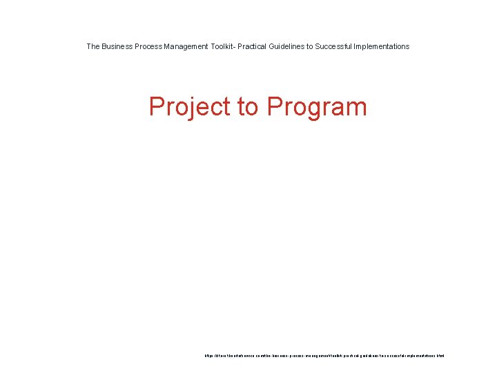 The Business Process Management Toolkit- Practical Guidelines to Successful Implementations 1 Project to Program