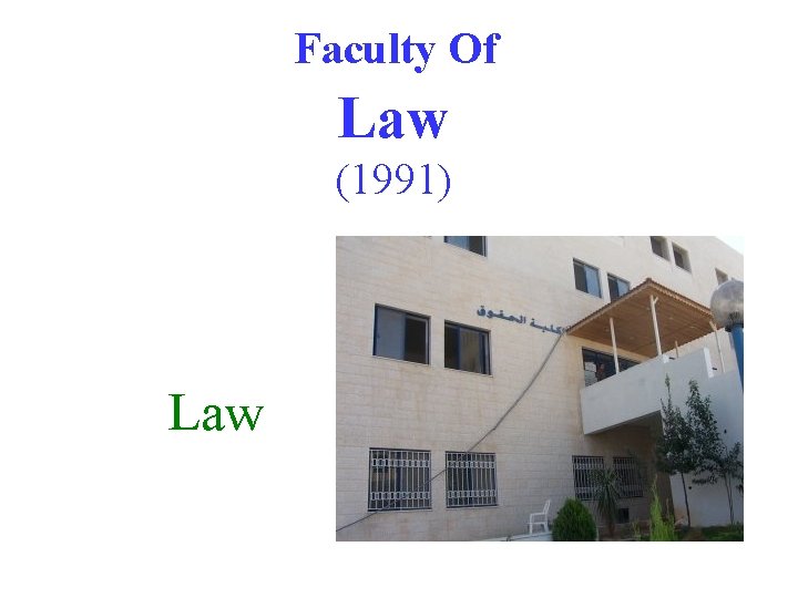 Faculty Of Law (1991) Law 