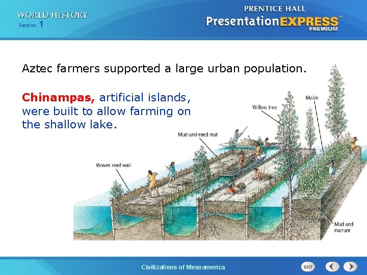 Section 1 Aztec farmers supported a large urban population. Chinampas, artificial islands, were built
