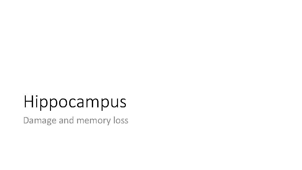 Hippocampus Damage and memory loss 