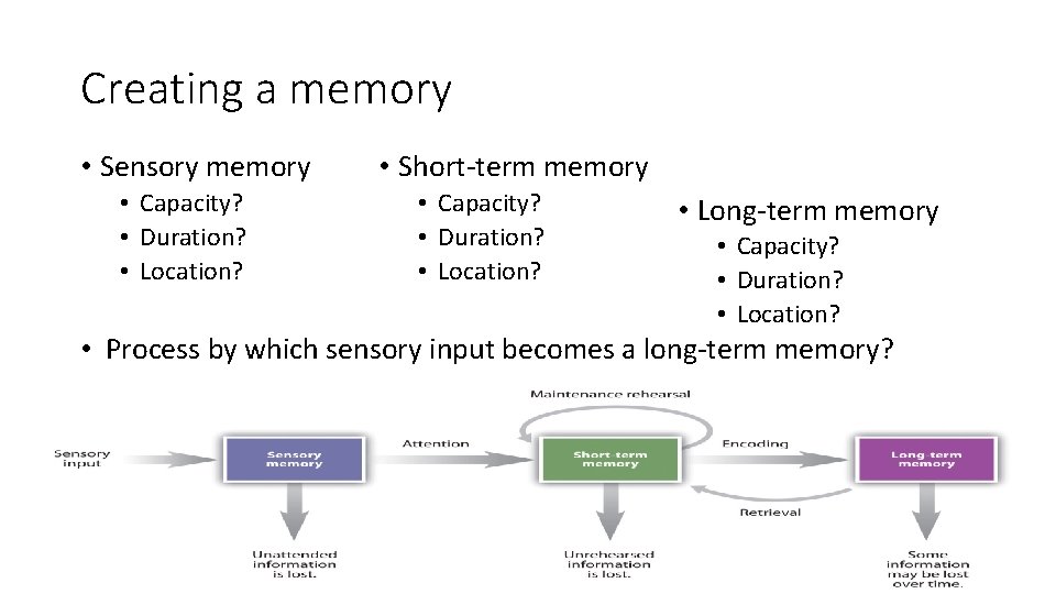Creating a memory • Sensory memory • Capacity? • Duration? • Location? • Short-term