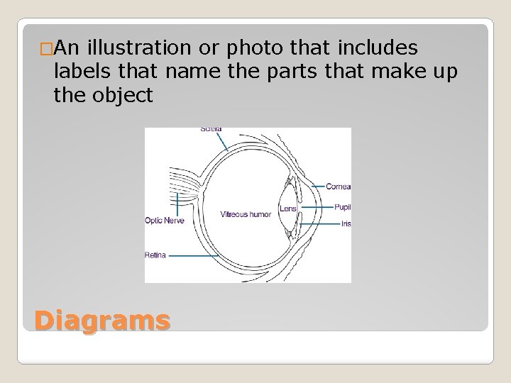 �An illustration or photo that includes labels that name the parts that make up