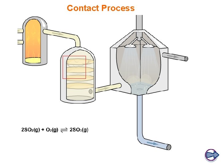 Contact Process 