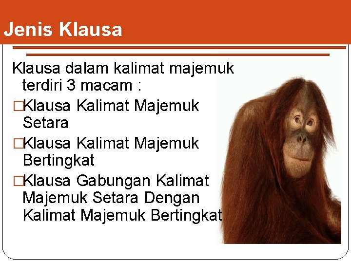 Jenis Klausa dalam kalimat majemuk terdiri 3 macam : �Klausa Kalimat Majemuk Setara �Klausa