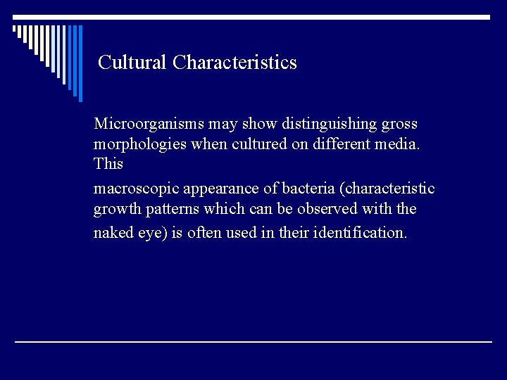 Cultural Characteristics Microorganisms may show distinguishing gross morphologies when cultured on different media. This