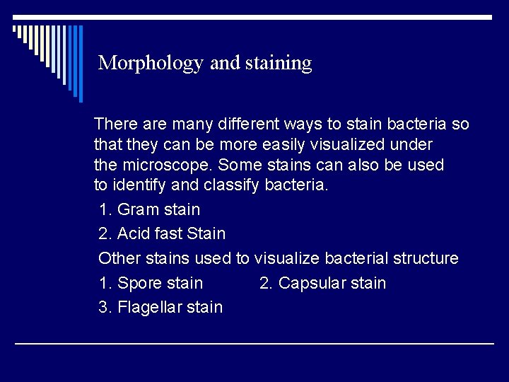 Morphology and staining There are many different ways to stain bacteria so that they