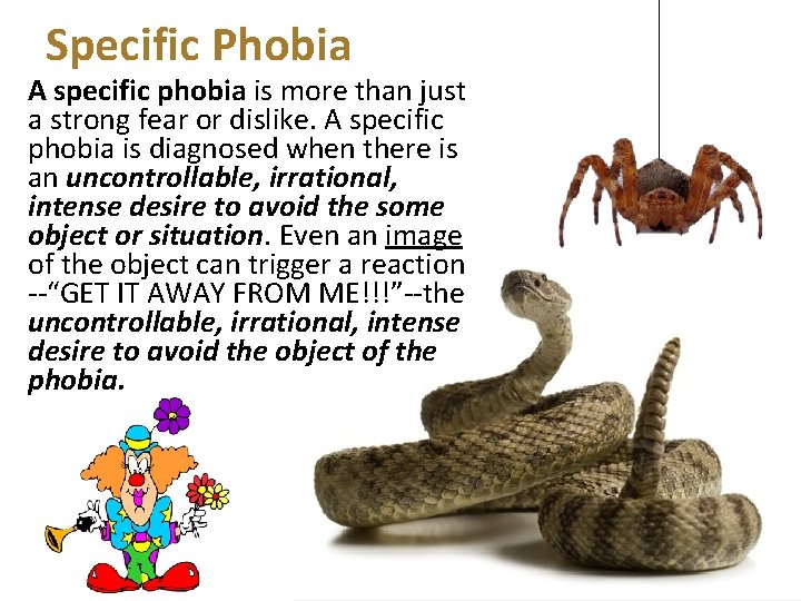 Specific Phobia A specific phobia is more than just a strong fear or dislike.