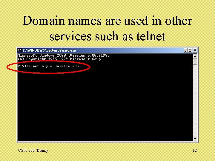 Domain names are used in other services such as telnet CSIT 220 (Blum) 12