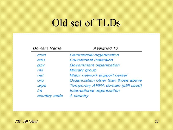 Old set of TLDs CSIT 220 (Blum) 22 