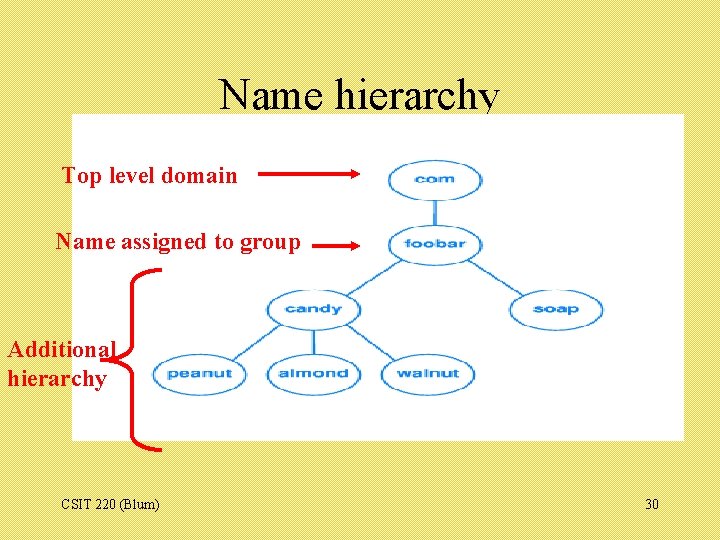 Name hierarchy Top level domain Name assigned to group Additional hierarchy CSIT 220 (Blum)
