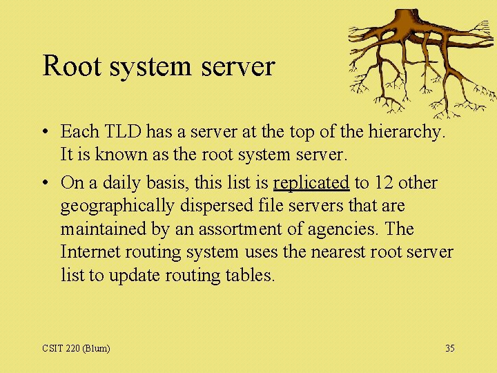 Root system server • Each TLD has a server at the top of the