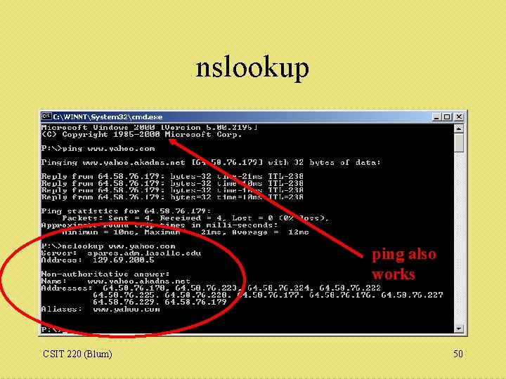 nslookup ping also works CSIT 220 (Blum) 50 