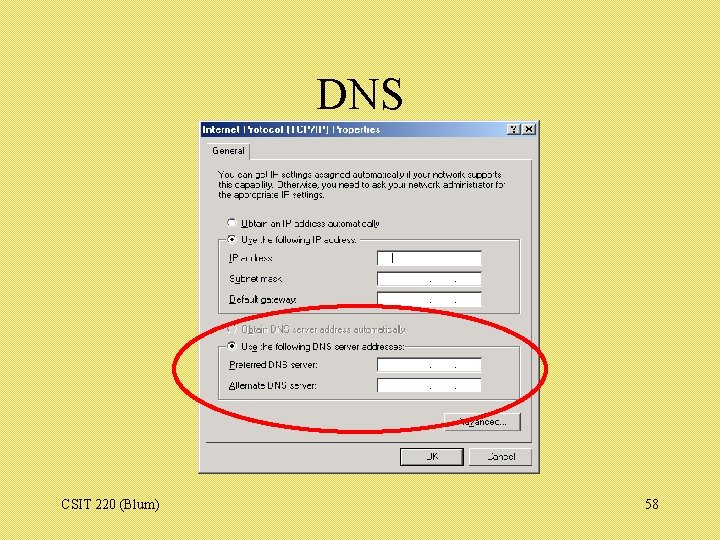 DNS CSIT 220 (Blum) 58 