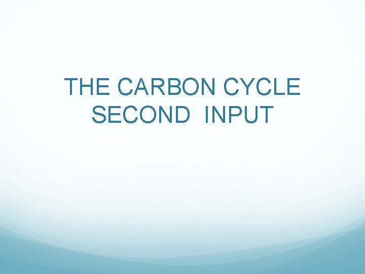 THE CARBON CYCLE SECOND INPUT 