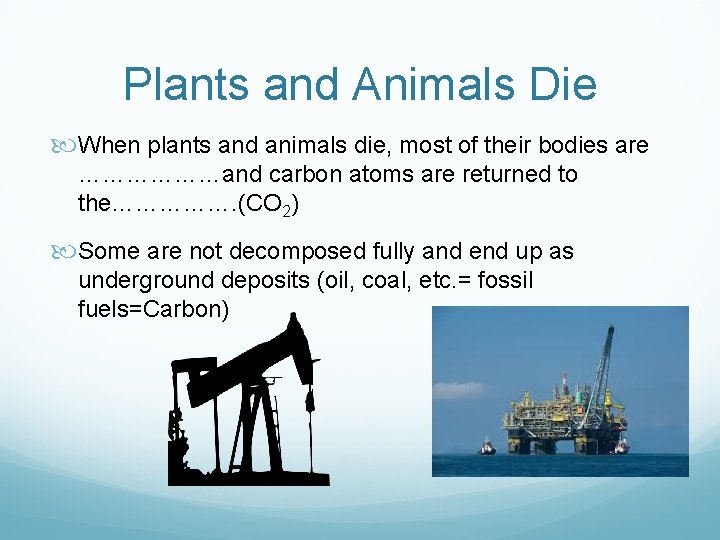 Plants and Animals Die When plants and animals die, most of their bodies are