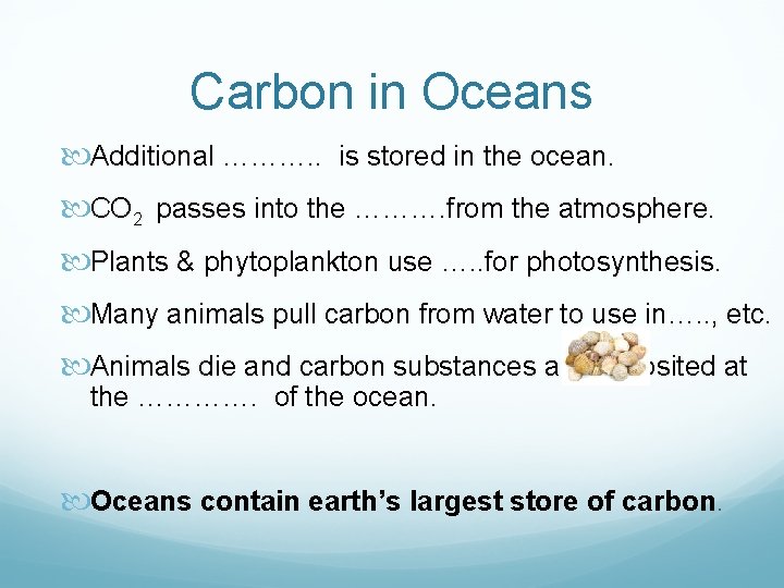 Carbon in Oceans Additional ………. . is stored in the ocean. CO 2 passes