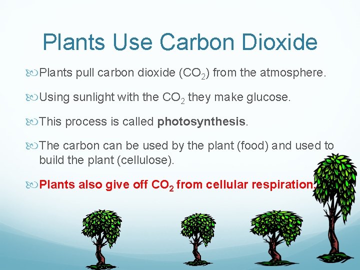 Plants Use Carbon Dioxide Plants pull carbon dioxide (CO 2) from the atmosphere. Using