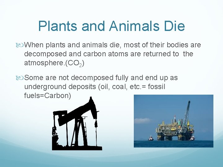Plants and Animals Die When plants and animals die, most of their bodies are