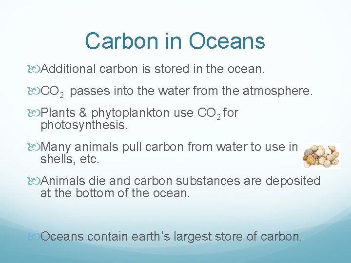 Carbon in Oceans Additional carbon is stored in the ocean. CO 2 passes into