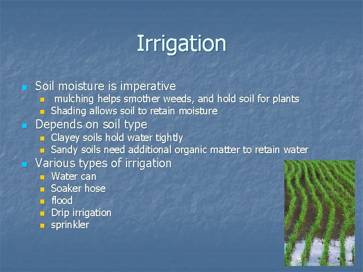 Irrigation n Soil moisture is imperative n n n Depends on soil type n