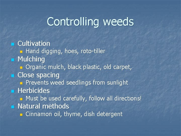 Controlling weeds n Cultivation n n Mulching n n Prevents weed seedlings from sunlight