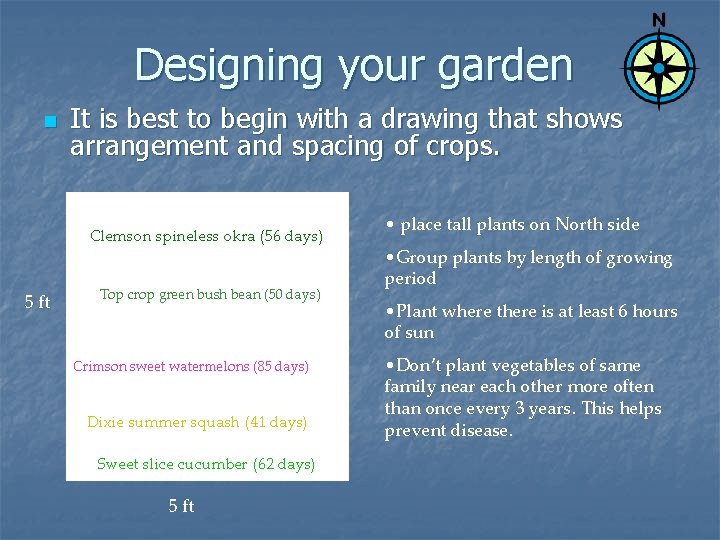 Designing your garden n It is best to begin with a drawing that shows